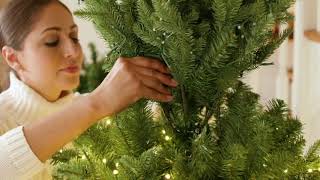 Santa's Best Alberta Spruce Starry Light WRGB Christmas Tree on QVC
