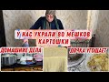 Домашние дела | У нас украли 80 мешков картофеля | Как у нас появилась собака | Дочка угощает