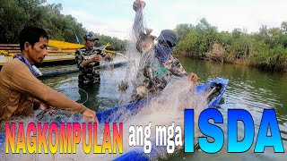 EP494:PART1-KAILANGAN SISIRIN PARA MAKAHULI NG ISDA