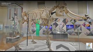 The Australian Museum on Google Natural History
