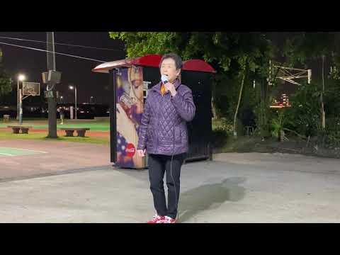 相逢後壁溝//乾媽 深情演唱