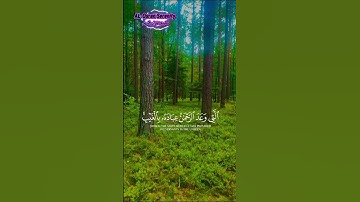 #qurankareem #القرآن_الكريم #اكسبلور #تلاوة_خاشعة #راحة_نفسية #متابعه_ليصلك_كل_جديد