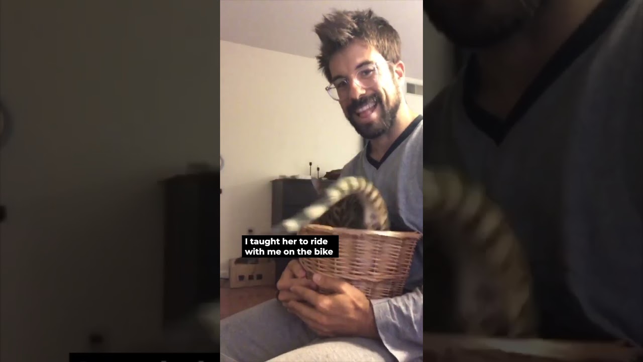 My Bengal Cat Just Turned 5!