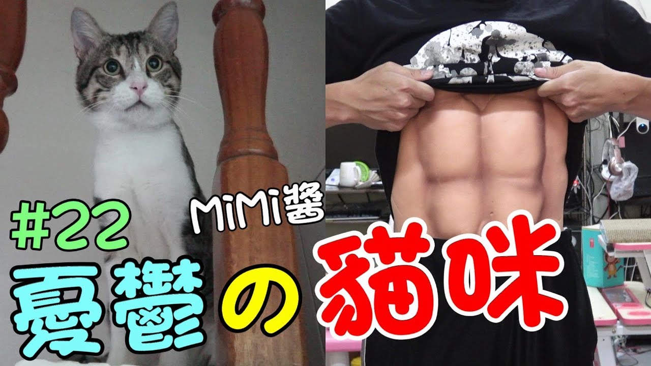 『憂鬱的貓咪』尋找新飼主 - MiMi醬快振作！ Cat Story#22