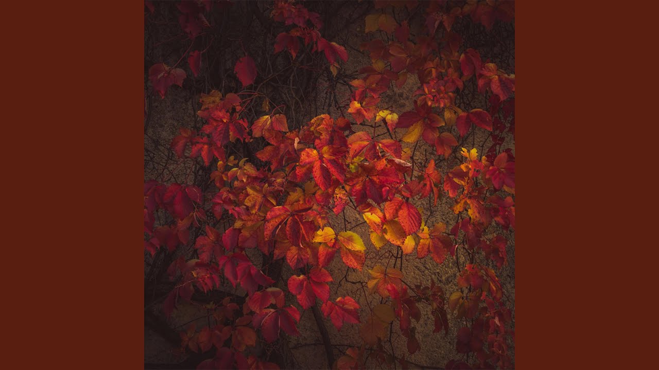 LOVE IS ORANGE (extended version)