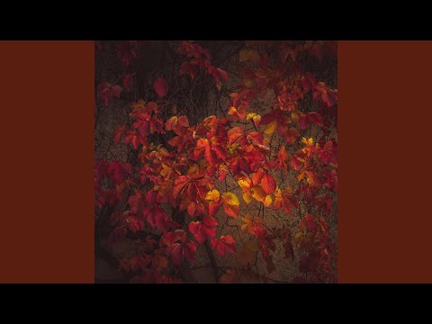 LOVE IS ORANGE (extended version)