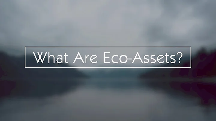 Thinking Like a Watershed: Eco-Assets Explained