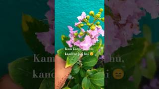 Kam krne jati hu🙄Kand hojati hai😑#garden #plantslover #plants