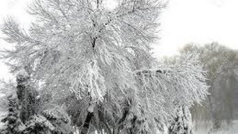 ARK Survival Evolved- Snow Biome.