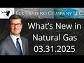 What's New in Natural Gas (NGK25 @ 4.128) - 03.31.2025