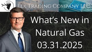 What's New in Natural Gas (NGK25 @ 4.128) - 03.31.2025