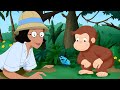 George faz um filme 🐵 George, o Curioso 🐵 Desenhos Animados