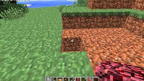 Minecraft: Arrow Detector (v1.8)