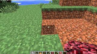 Minecraft: Arrow Detector (v1.8)