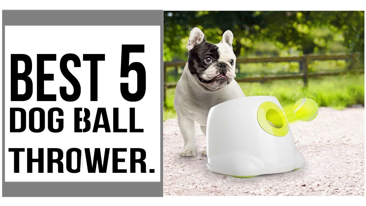 Dog ball thrower Best 5 Dog ball throwers Best 5 Dog ball