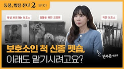 동물자유연대 - Youtube