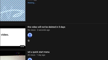 Nintendo i made the private use area video its just not loading