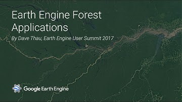 Earth Engine Forest Applications