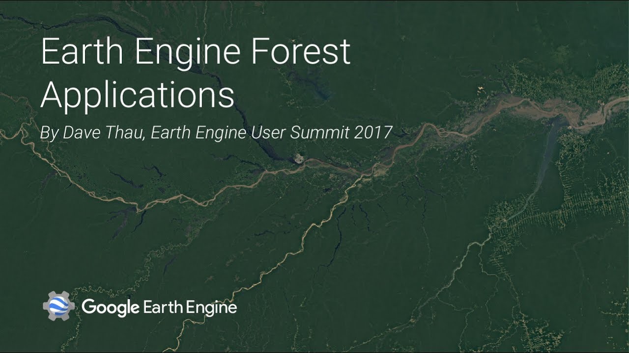 Earth Engine Forest Applications