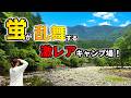 【絶景！】絶対行くべき！蛍の天の川が超感動のキャンプ場！【カーサイドテント】【ハイエース車中泊】