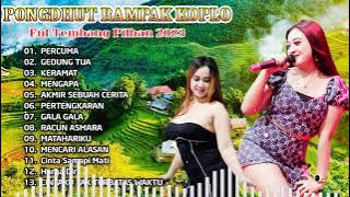 CEK SOUND DANGDUT KOPLO KALEM SYAHDU || FULL ALBUM FARIS KENDANG 2024