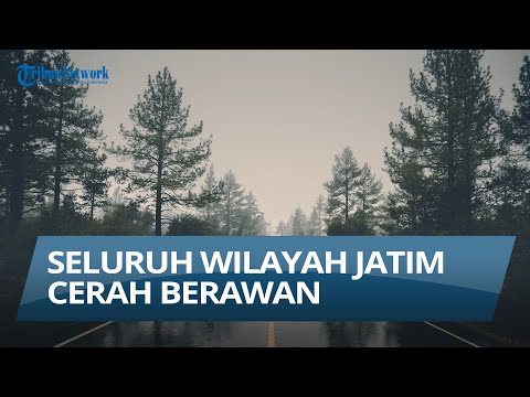 SELURUH WILAYAH JAWA TIMUR CERAH BERAWAN