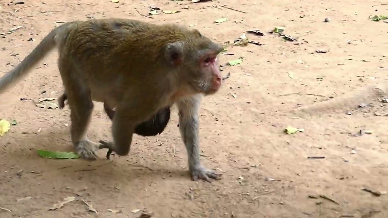 Updating Jane family, Wonderful day