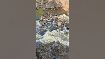 St Louis River in Carlton MN @YouTube #minnesota #water #nature #relaxing #naturelovers #river