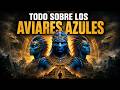 Todo Sobre los Aviares Azules