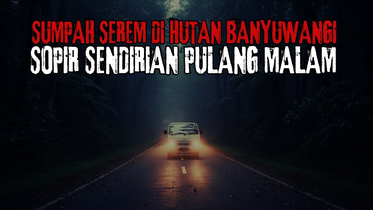 SUMPAH SEREM DI HUTAN BANYUWANGI! KISAH SOPIR SENDIRIAN PULANG MALAM SETELAH ANTAR PENUMPANG