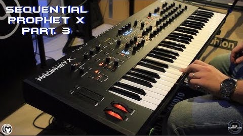 Sequential Prophet X Part. 3 | No Talking |