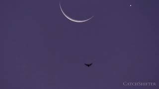 Crescent Moon Fades As Venus Drifts Away 09.19.2025
