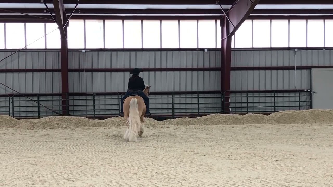 Brittney Williams on Ballydang Khan Do 