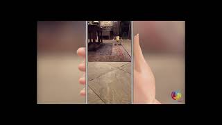 Draft 3D Portfolio Sample