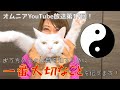 おうちの子の体質を知るために一番大事なこと伝えます!