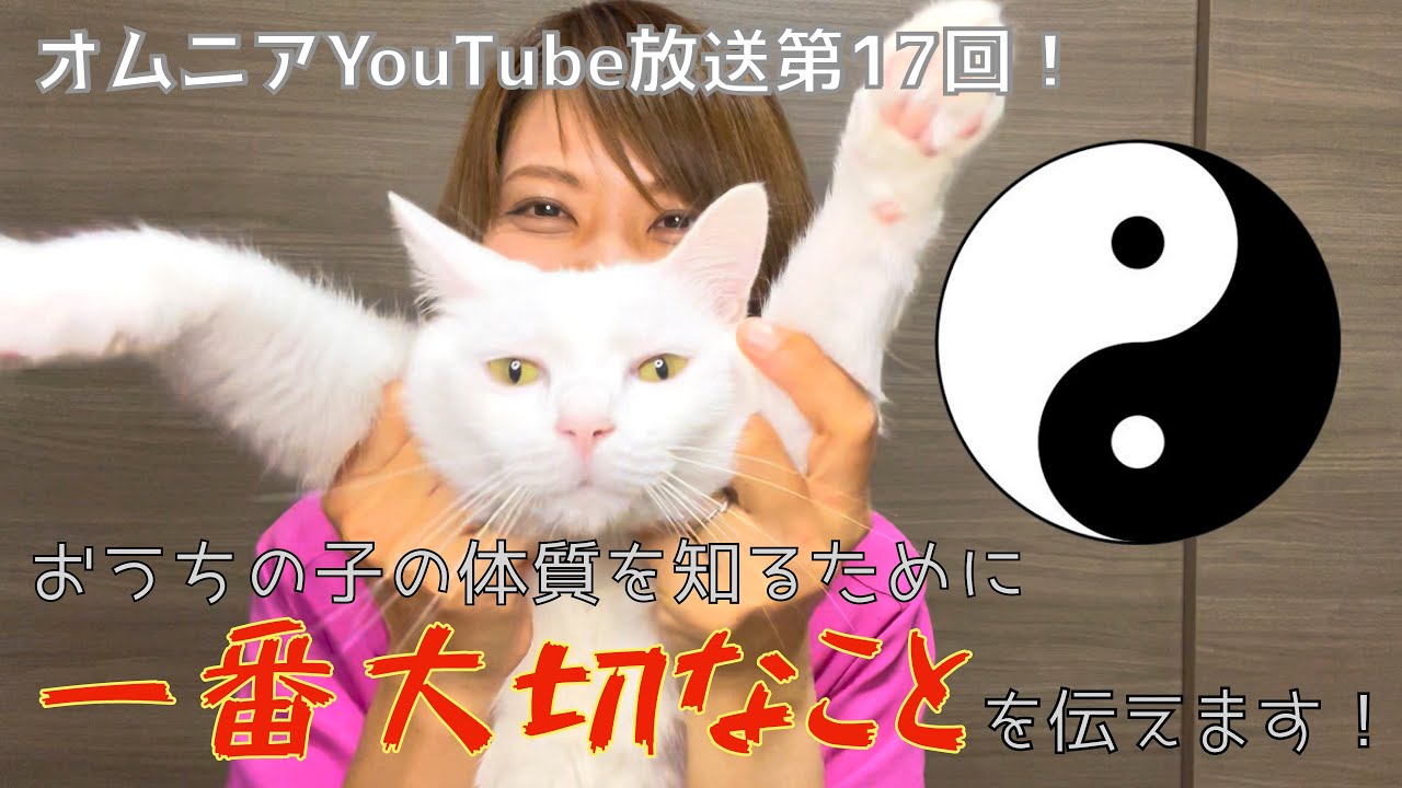 おうちの子の体質を知るために一番大事なこと伝えます！