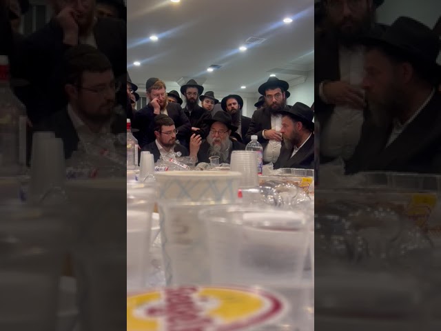 R' Avremel Sternberg & R' Shlomo Zarchi: Zos Chanukah 5746 | ר' אברמל שטערנבערג: זאת חנוכה תשמ"ו