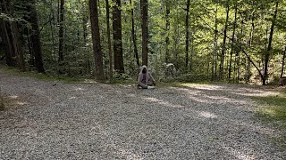 2Roads - Sajalie (Official Music Video) 