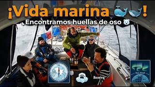 #49 Belugas, Uncharted Anchorage · The Vertical Hour