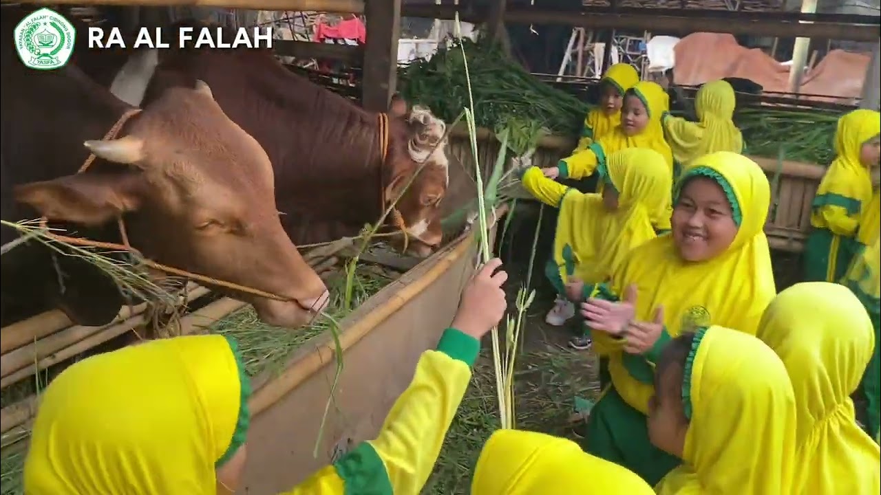 BERMAIN BERSAMA SAPI