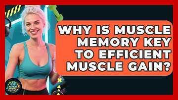 Why Is Muscle Memory Key To Efficient Muscle Gain? - High Energy Training Hub