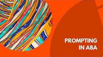 Prompting Strategies