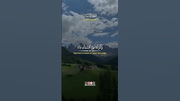 #سورة_لقمان #ياسر_الدوسري #اذكروا_الله #صلوا_على_النبي #راحة_نفسية #الله #قرآن #قران_كريم #لايك