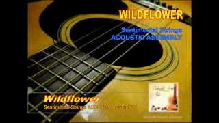 Video thumbnail of "Wildflower - from the album Sentimental Strings Acoustic Assembly.wmv"