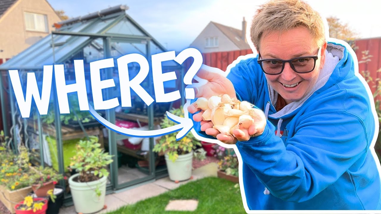 Can I grow garlic in a greenstalk vertical planter?