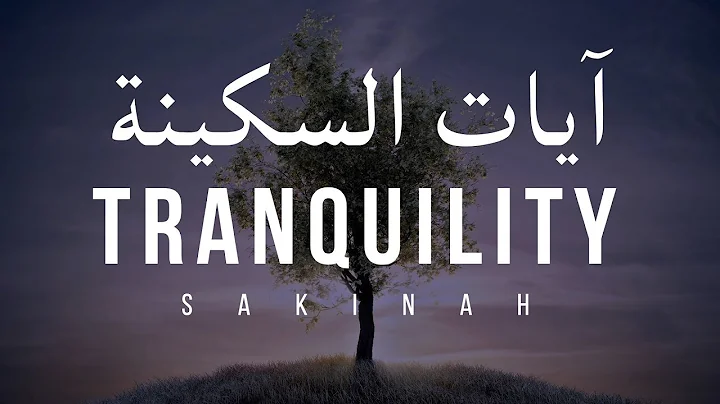 AYAT OF TRANQUILITY - SAKINAH