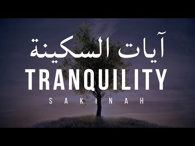 AYAT OF TRANQUILITY - SAKINAH  أيات السكينة لدفع الهموم class=