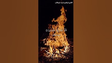 فَكُبْكِبُوا فِيهَا هُمْ وَالْغَاوُونَ / أيآت قصيرة خاشعة / القارئ ابراهيم شرف ابوطالب