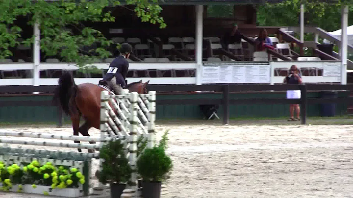 Isabel Stettinius and No Excuses at Upperville 201...