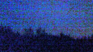 the sound of coyotes in the distance